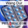 Hard Wang viagra4